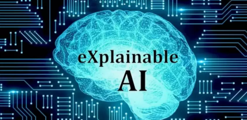 Explainable AI