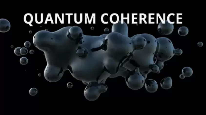 Quantum Coherence