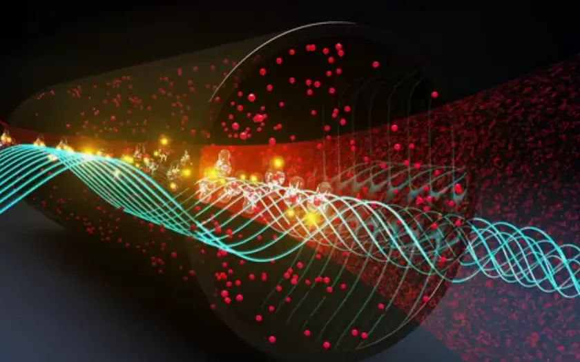 Quantum Interference's Testing Ground