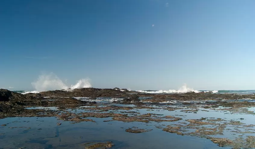 Tapping the Ocean's Vast Reserves