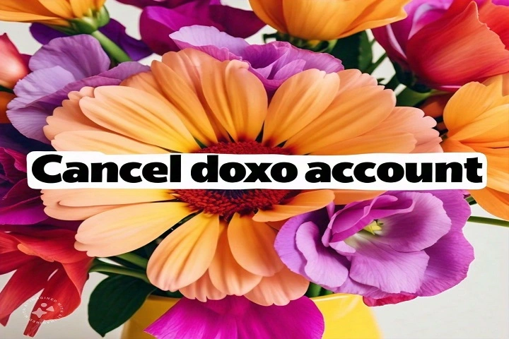 Cancel Doxo