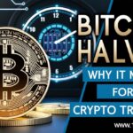 Bitcoin Halving