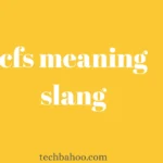 cfs meaning slang