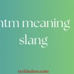 ntm meaning slang