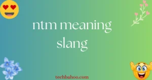 ntm meaning slang