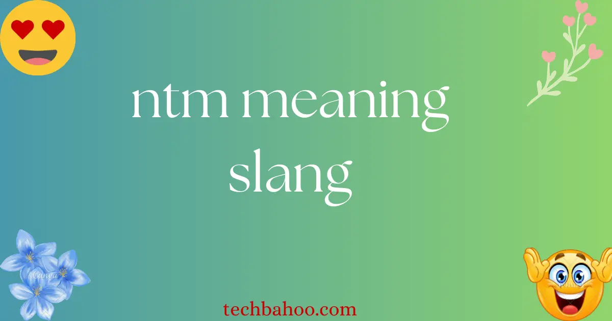 ntm meaning slang