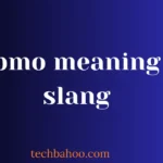 pmo meaning slang