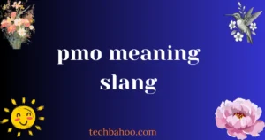 pmo meaning slang