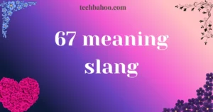 67 meaning slang