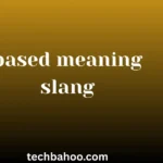 based meaning slang