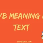 HYB Meaning in Text
