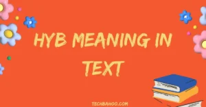 HYB Meaning in Text