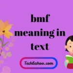 BMF Meaning in Text