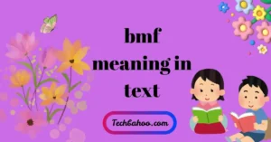 BMF Meaning in Text