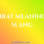 brat meaning slang