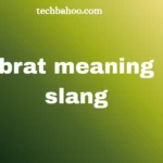 brat meaning slang
