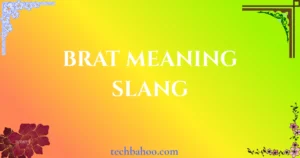 brat meaning slang
