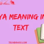 CYA Meaning in Text