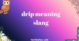 drip meaning slang