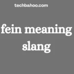 fein meaning slang