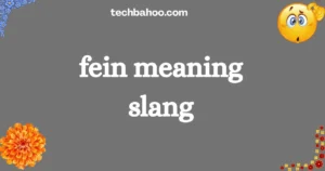 fein meaning slang