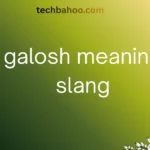 galosh meaning slang