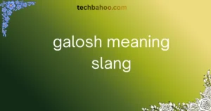 galosh meaning slang