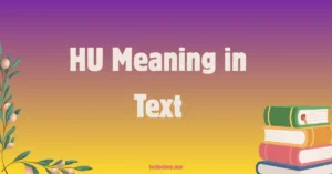 HU Meaning in Text