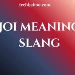 joi meaning slang