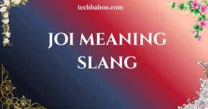 joi meaning slang