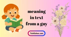 Meaning in Text From a Guy