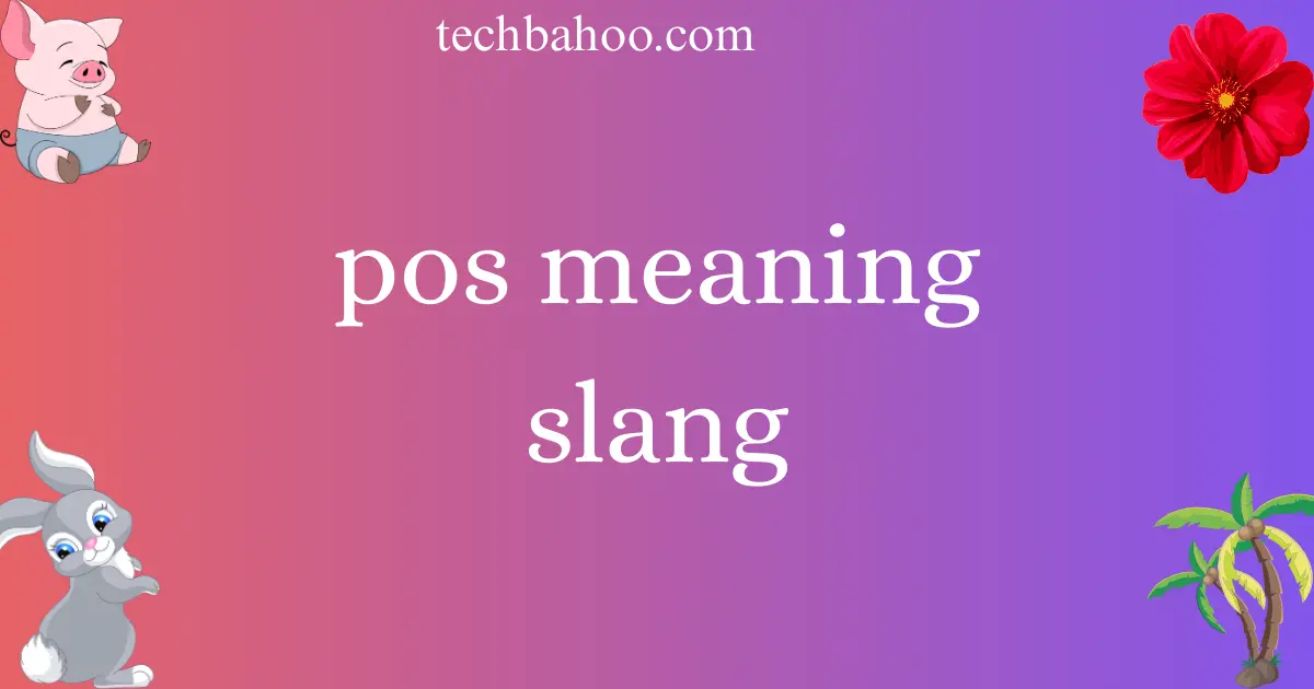 pos meaning slang