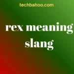 rex meaning slang