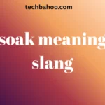 soak meaning slang