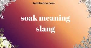 soak meaning slang