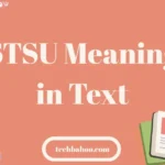 STSU Meaning in Text