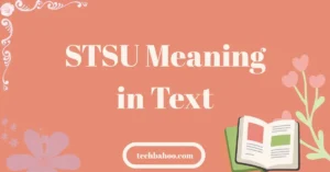 STSU Meaning in Text