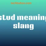 stud meaning slang