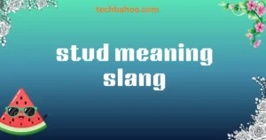 stud meaning slang