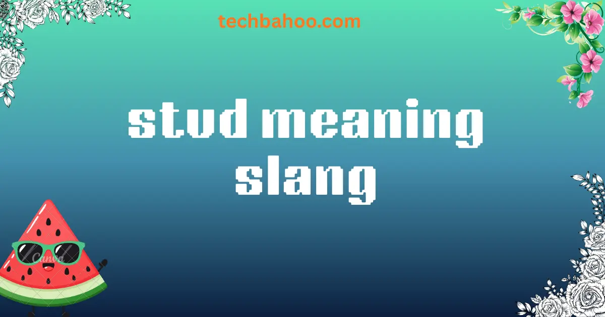 stud meaning slang