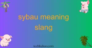 sybau meaning slang
