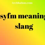 syfm meaning slang