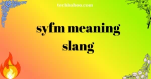 syfm meaning slang