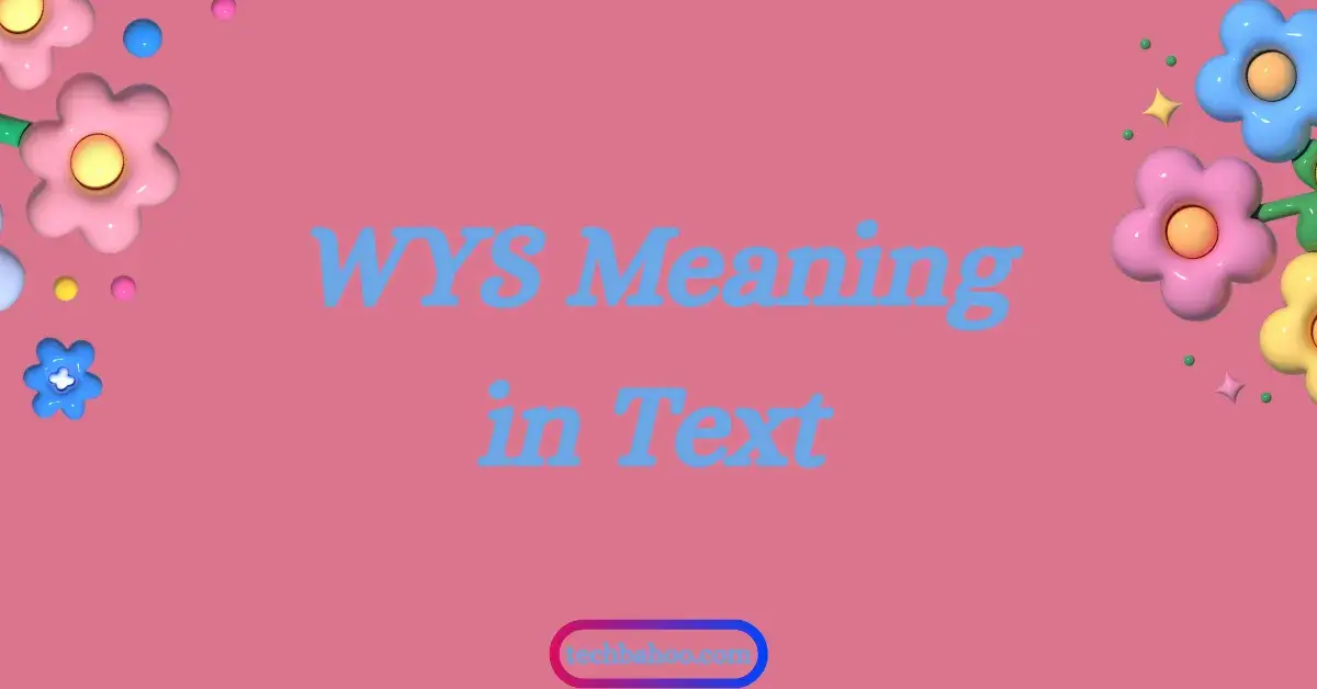 WYS Meaning in Text