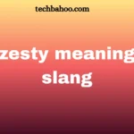 zesty meaning slang
