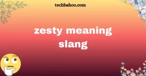 zesty meaning slang