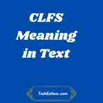 CLFS Meaning in Text