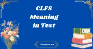 CLFS Meaning in Text
