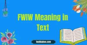 FWIW Meaning in Text