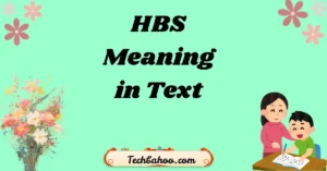 HBS Meaning in Text
